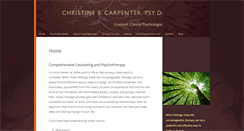 Desktop Screenshot of drchristinecarpenter.com
